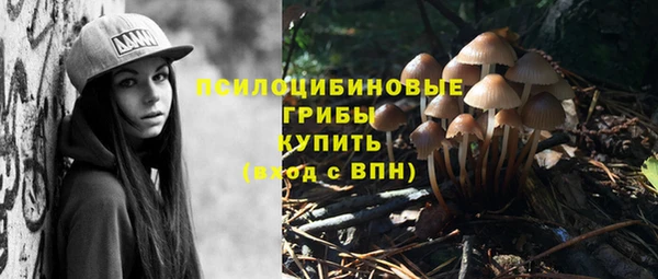 альфа пвп Надым